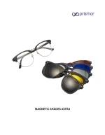 Magnetic Shades Astra